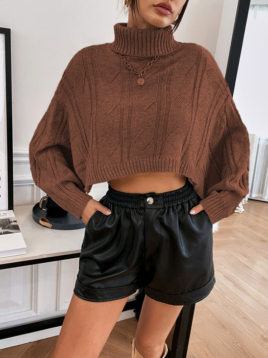 Autumn Winter Split Batwing Sleeve Cable Knit Turtleneck Sweater Women