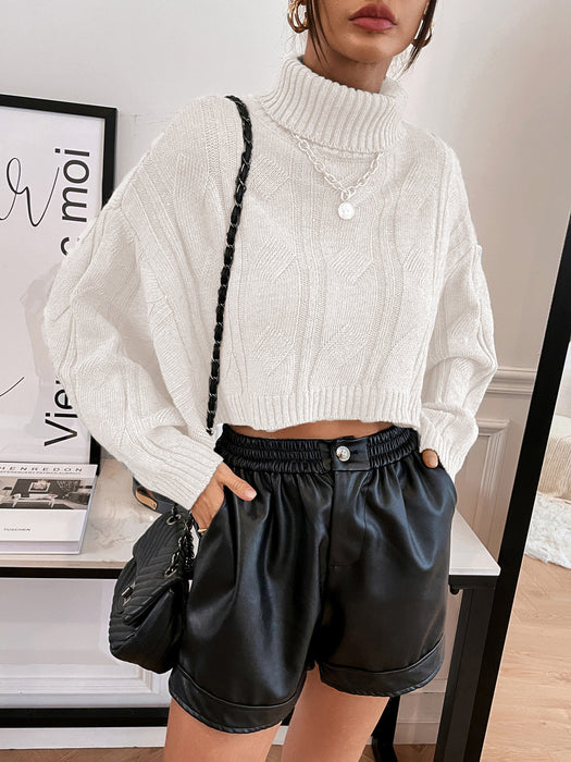 Autumn Winter Split Batwing Sleeve Cable Knit Turtleneck Sweater Women